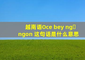 越南语Oce bey ngủ ngon 这句话是什么意思